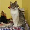 Отзыв от Аня Климова